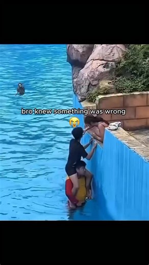 wtf soap opera is this?#soapopera #asian#romance#boner#erection #gf#friends#makeout #homies #swim #pool#viral #instagram #comedy#lol#smile#fyp#smile #share #believeinyou #confidence #motivation #facebook#tiktok #viralreels#viralvideos #couple#kissing #water #world | Jason Levy