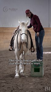585K views · 10K reactions | Ever heard of the 3 Second Rule in horse...