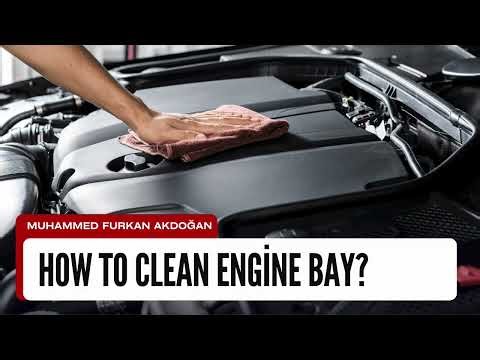 How To Clean Engine Bay? Easy Step By Step Guide To Safely Clean Your Car Engine Bay At Home