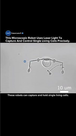Microscopic Robots That Can Capture and Control Living Cells With Light #robot #cells #medical #tech