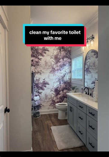 5 Tips for Effective Toilet Cleaning