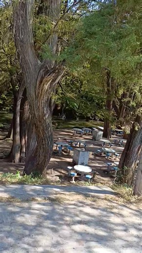 Hoy en las musas | código 12