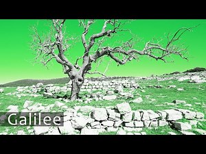 MOUNT MERON. UPPER GALILEE. Walk Through the Flowering Biblical Hills