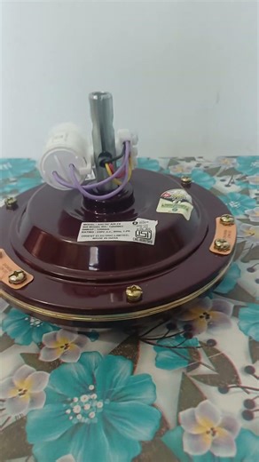 Orient Arctic Air Fx Ceiling Fan #orientelectric #shortvideo