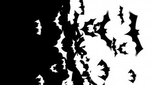 Halloween Transitions 5 Pack Cartoon Bats Stock Footage Video (100% Royalty-free) 1039331270 | Shutterstock