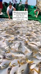 23 reactions · 4 comments | #highlightseveryonefollowers2025 #ofwlife...