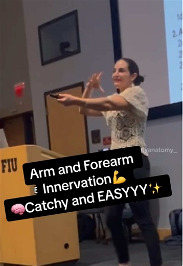 Understanding Arm and Forearm Innervation