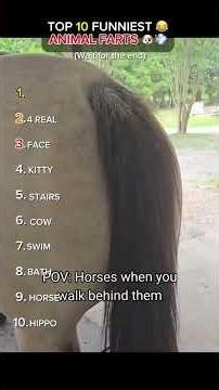 TOP 10 ANIMAL FARTS 😂😂 #top10 #fart