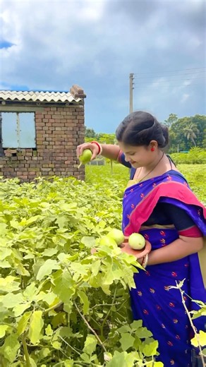 Village Delicious Egg & Eggplant Curry - Easy Bengali Recipe #shorts #trending #food#recipe #cooking