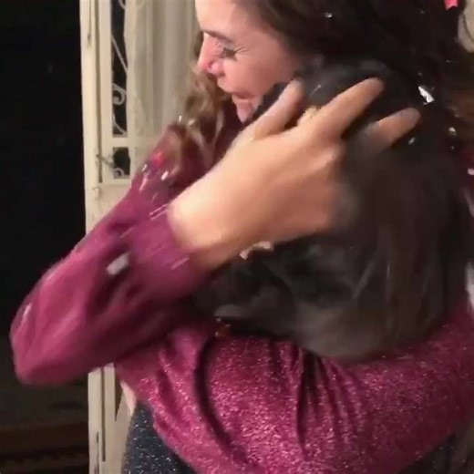 Luiza Ambiel, que recentemente saiu da Fazenda 12, reencontrando sua filha.. #AFazenda12 | TV Foco