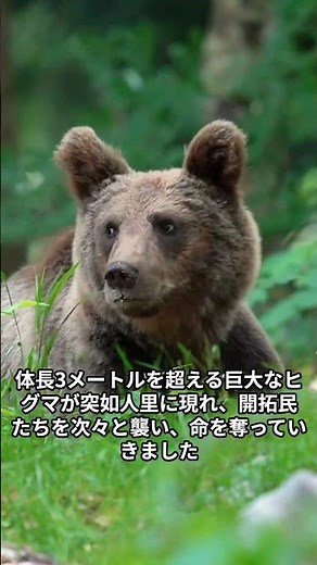 三毛別羆事件 人類史上最悪の獣害事件