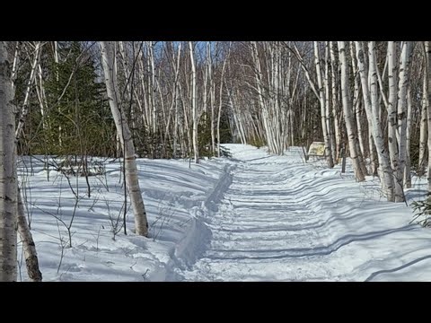 Theta Realms - Brainwave Sound Journeys is live!