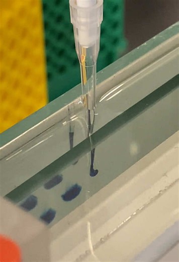 Exploring DNA Testing: Understanding Its Significance