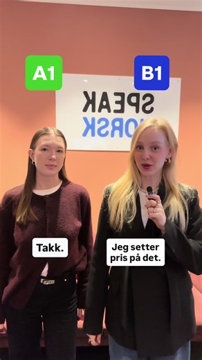 Master Norwegian Online or in Class with Speak Norsk!