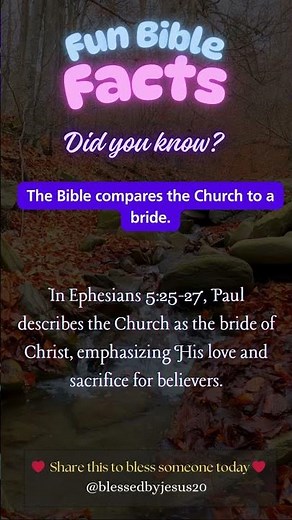 Why Is the Church Called the Bride of Christ?