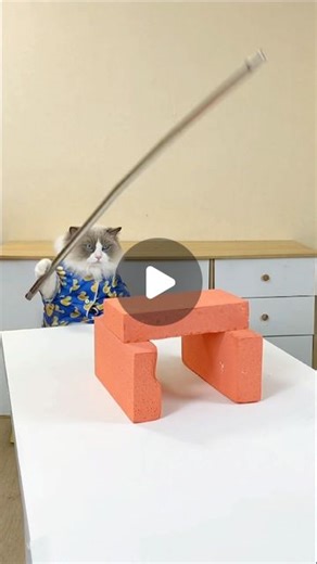 That Little Puff on Instagram: "🥋 Puff’s Kung Fu stick session: Epic moves, hilarious fails! #PuffTheKungFuCat"