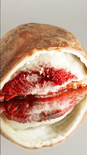 "Chocolate Strawberry Decay Timelapse | Melting to Mold in Stunning Detail (10 Days in 60 Seconds)"