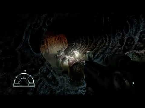 #2 Alien VS Predator les marines