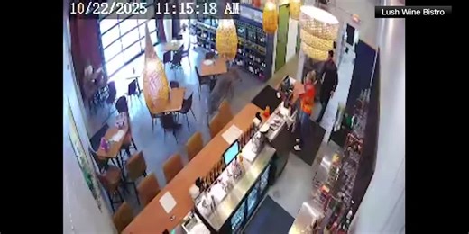 Deer crashes into wine store