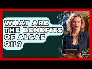 What Are The Benefits Of Algae Oil? - The World of Agriculture