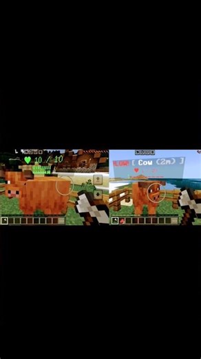 Minecraft Useful tips for Beginners !