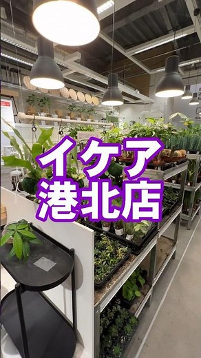 [IKEA] Must-have houseplants!