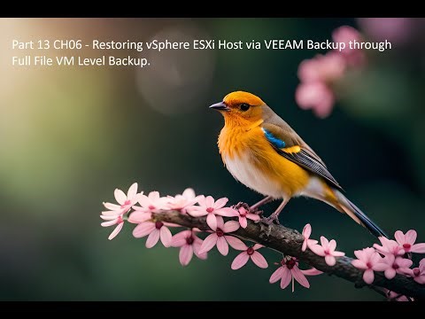 Part 13 CH06 - Restoring vSphere ESXi Host via VEEAM Backup through Full File VM Level Backup.
