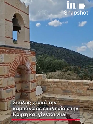 🐕 Σκύλος χτυπά την καμπάνα σε εκκλησία στην Κρήτη και γίνεται viral #ingr #viral #σκυλιά #fyp
