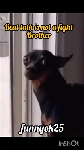 let's get ready to rumble, Francis vs Jake Paul