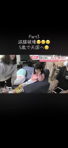 家族の絆を深めた半年間の物語