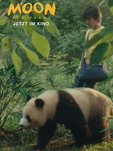 Moon der Panda: Ein aufregendes Familienabenteuer
