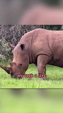 Pete David is CRAZY in the Dog Man movie