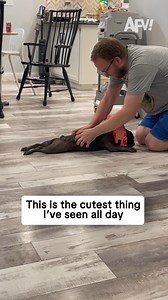 1.1M views · 10K reactions | That's just doggone adorable 殺 #afv #dogs #funny | America's Funniest Home Videos | Facebook