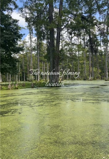Exploring Cypress Gardens from 'The Notebook'