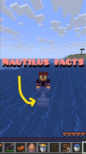 Nautilus facts