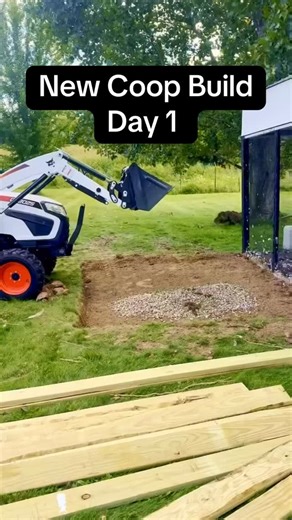 Day 1 of our new chicken coop build is done! We built the base, added the subfloor, and raised the very first wall. It’s so exciting to see this coop start coming together! Follow along, I’ll share every step of the build, plus tips I’ve learned from our last coop mistakes. 😳 Tomorrow we’ll raise the rest of the walls and add the roof. #chickens #chickencoop #diyproject #chickentips #farmlife | Beth/City Life to Farm Life
