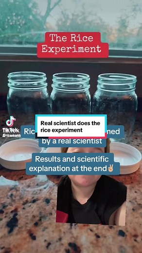 It’s a great time of year to not teach your kids incorrect science “facts”✌🏼 #research #experiments #riceexperiment #thepowerofwords #education #kidexperiments #science #scienceexperiments thanks @Sylvie for the excellent control idea!
