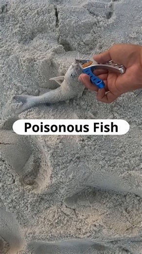 4.6M views · 29K reactions | I Don't Touch Them! #fblifestyle | Justin Reed Fishing | Facebook