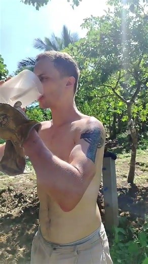 Quenching Thirst On Mountain Spring Water