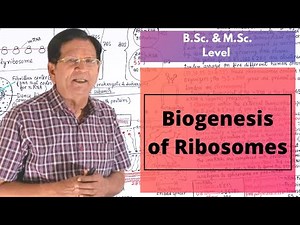 Biogenesis of Ribosomes || B.Sc. & M.Sc. Level