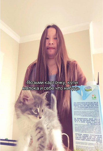 Приключения с кошками: милые моменты в магазине