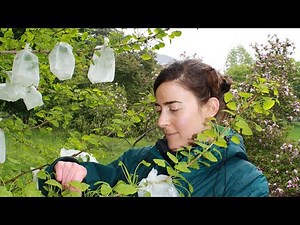 Watch how to sign 'botanical garden' in American Sign Language.