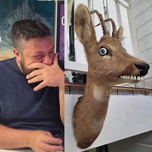 4.9M views · 92K reactions | I'm Addicted To Bad Taxidermy!  | Christian Hull | Facebook