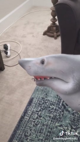 Shark Puppet encounters Pennywise 2! #sharkpuppet #chapter2 @awhnickah @kennedydaddylongleggs @cj_me