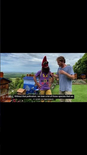 Facts about Bee's Why they are so Important