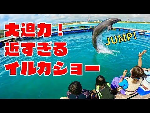【子供もOK！イルカと泳ぐ！】かわいいイルカに触れられる☆目の前でショーも見れちゃう！石垣島マリンレジャーに超おススメのドルフィンファンタジー　≪石垣島旅行vol.6≫　高級うみろんチャンネル
