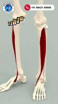 Why Can’t I Lift My Foot? Foot Drop Explained !