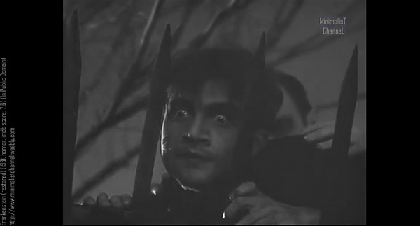 Frankenstein (restored) (1931, pre-code horror, expressionist cinema, imdb score: 7.8)