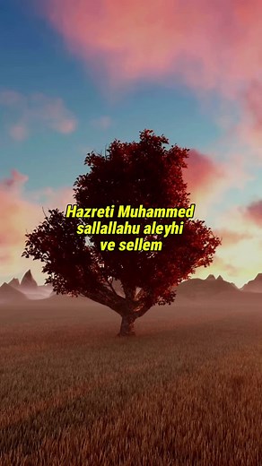 Hz.Muhammed: İslam'ın Son Peygamberi ve Önderi