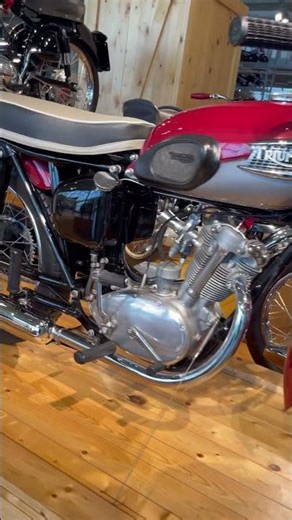 1959 Triumph Tiger Cub seen at Barber Vintage Motorsports Museum #motorcycle #shorts #short